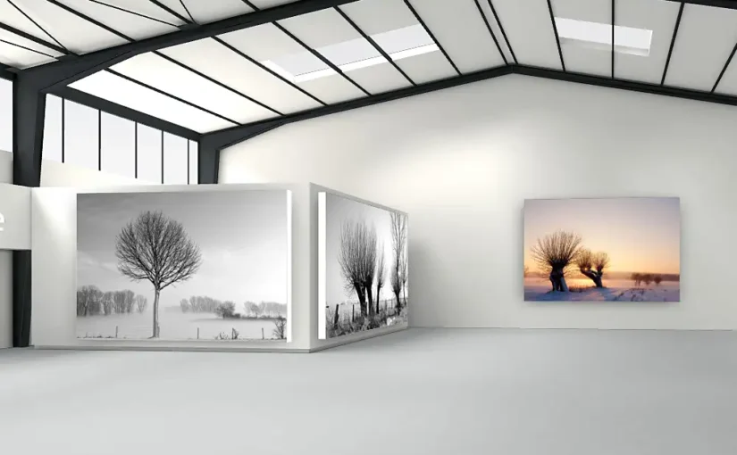 Niederrhein Galerie - Aktuelle Fotoausstellung - Landschaften und Natur